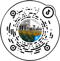 图层 1.png
