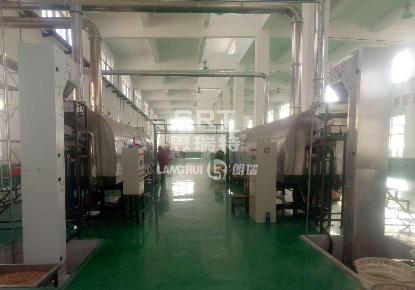Anqing Xianlong (Grandma Wu) Food Co., Ltd. Melon Seed Peanut