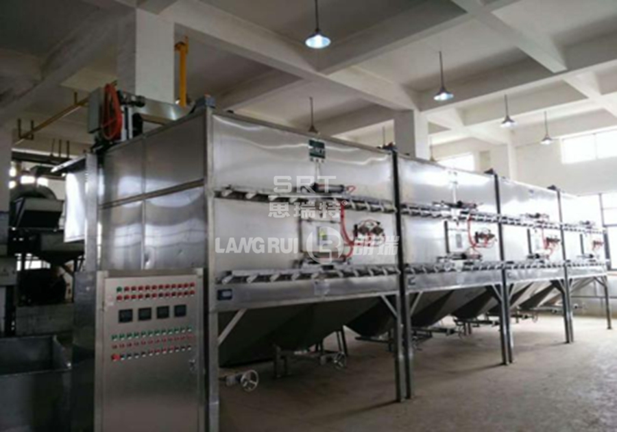 Changzhou Maoxing Food Co., Ltd. Walnut and Melon Seed Production Line