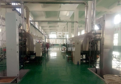 Anqing Xianlong (Grandma Wu) Food Co., Ltd. Melon Seed Peanut