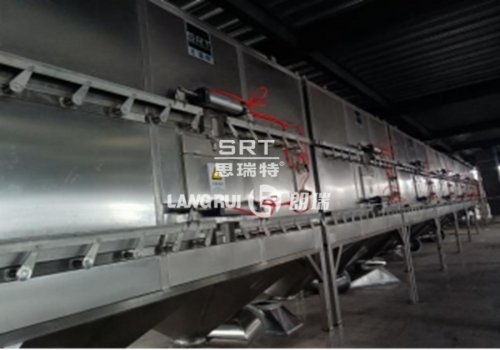 Cangzhou Xingquan Jujube Industry Co., Ltd. Nut Production Line