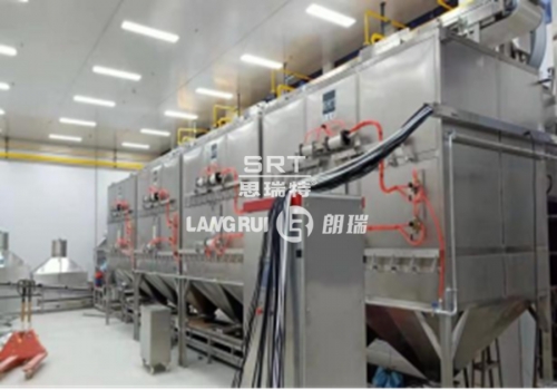 Shanghai Qingmei Food Co., Ltd. Melon Seed/Nut Production Line