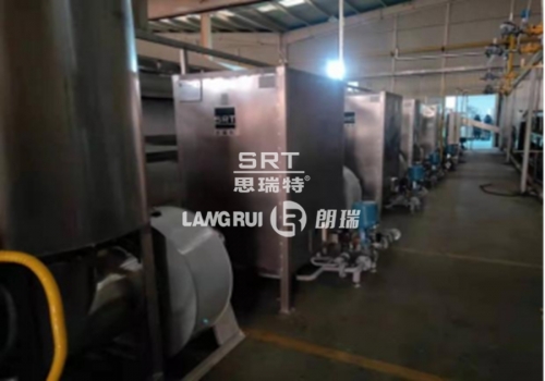 Lvling Kangwei Food Co., Ltd. Nut Production Line