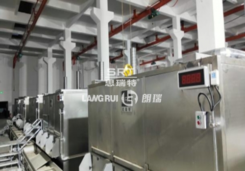 Taikang County Guoyuan Food Development Co., Ltd. Melon/Peanut Production Line