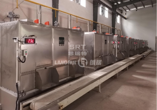 Songyang Wensheng Food Co., Ltd. Melon/Peanut Production Line