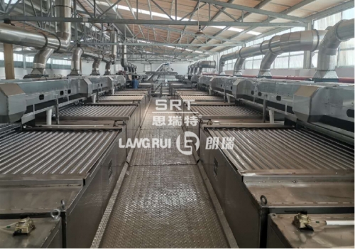 Foshan Liushe Food Co., Ltd. Xia Wei Yi Guo/Ba Dan Mu Production Line