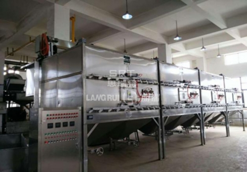 Changzhou Maoxing Food Co., Ltd. Walnut and Melon Seed Production Line
