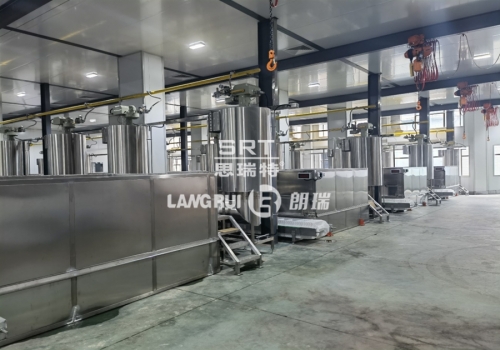 Hangzhou Linan Xinhangpai Food Co., Ltd. Walnut Production Line