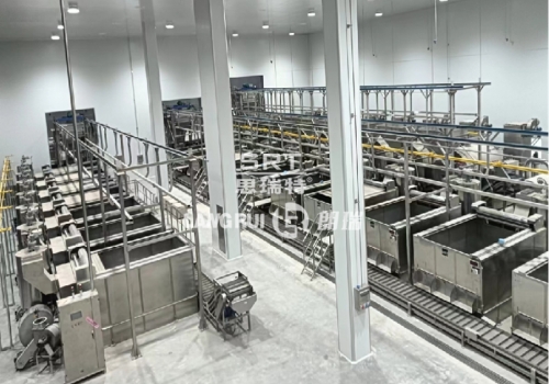 Xueji Food Technology Co., Ltd