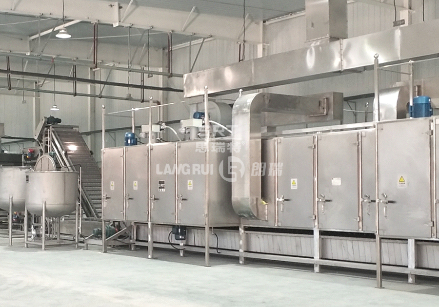 Zhejiang xinjiang fruit industry walnut production line